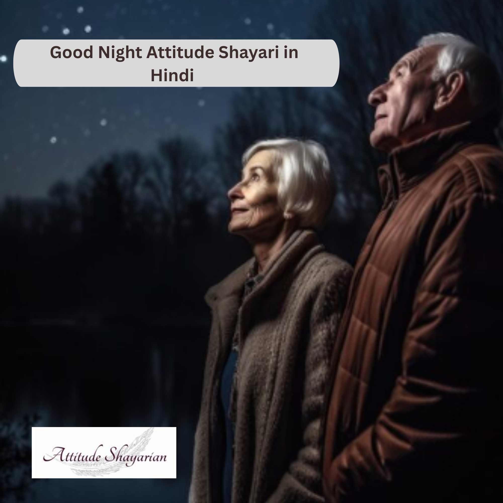 Good Night Attitude Shayari in Hindi